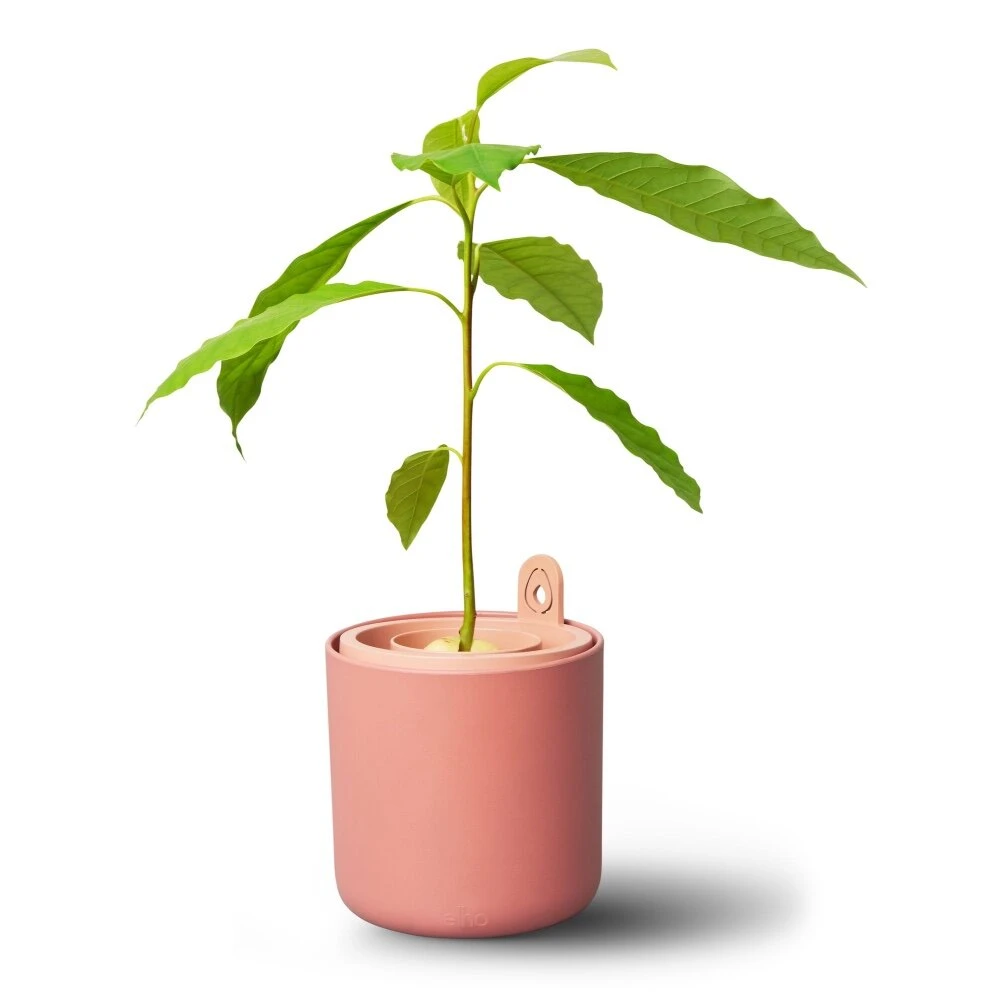 Elho Amazing Avocado Pot Bruin - Afbeelding 2