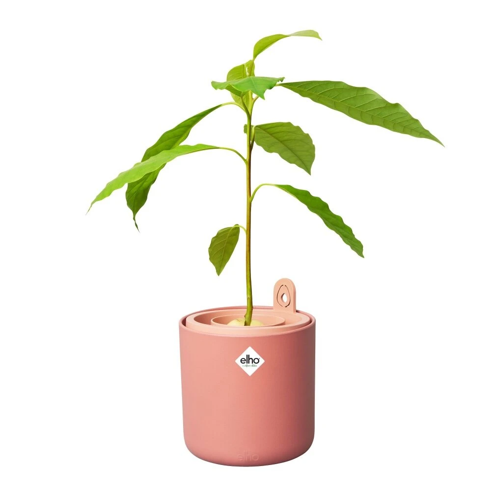 Elho Amazing Avocado Pot Bruin - Afbeelding 3