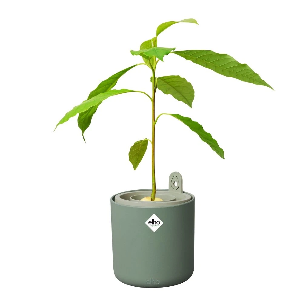 Elho Amazing Avocado Pot Groen - Afbeelding 2