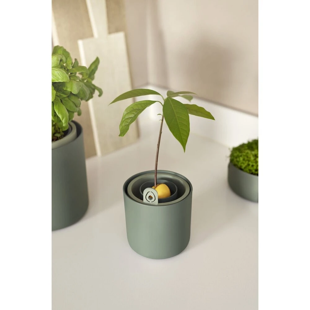 Elho Amazing Avocado Pot Groen - Afbeelding 6