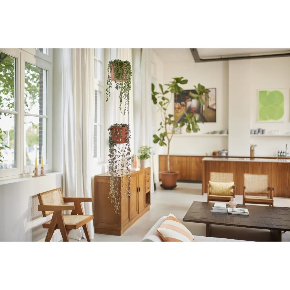 Elho B.for Swing 18 Cm Bruin - Afbeelding 7