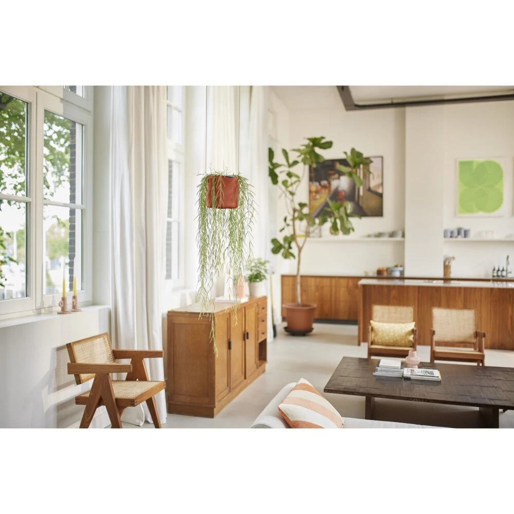 Elho B.for Swing 18 Cm Bruin - Afbeelding 8