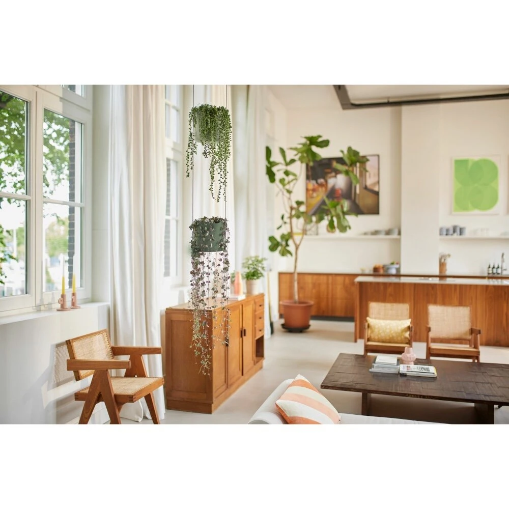 Elho B.for Swing 18 Cm Groen - Afbeelding 7