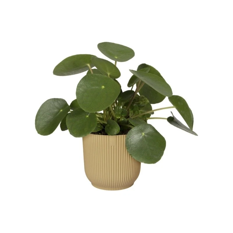 Elho Bloempot Vibes Fold Rond 25cm Geel - Afbeelding 2