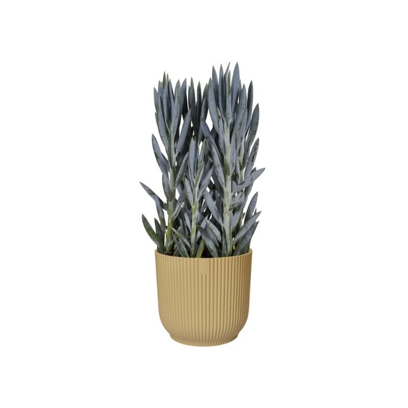 Elho Bloempot Vibes Fold Rond 25cm Geel - Afbeelding 3