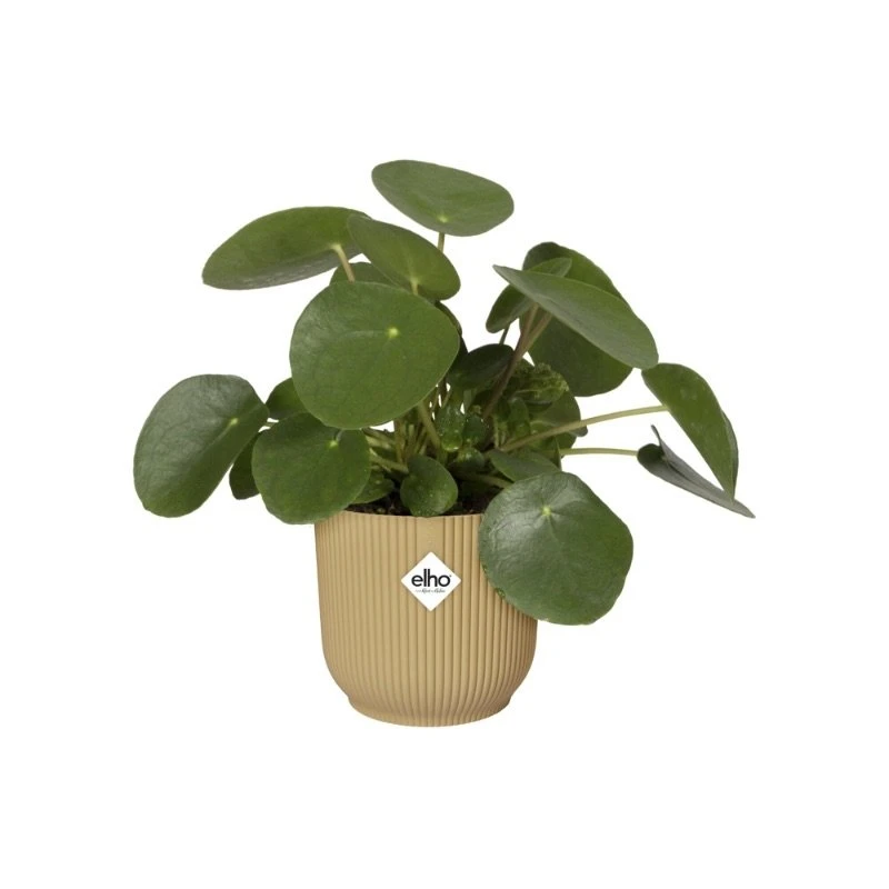 Elho Bloempot Vibes Fold Rond 25cm Geel - Afbeelding 4