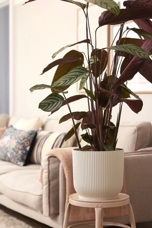 Elho Bloempot Vibes Fold Rond Wielen 35cm Wit - Afbeelding 4