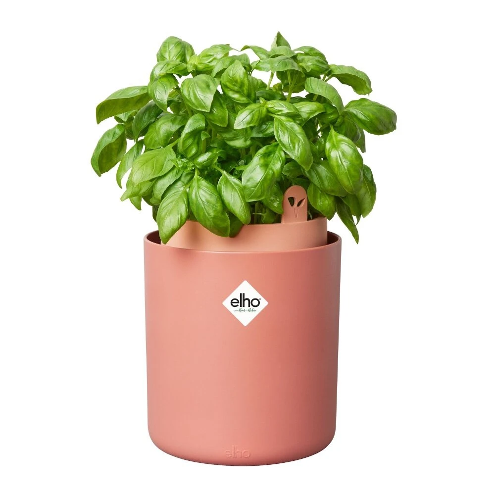 Elho Bouncy Basil Bruin - Afbeelding 2