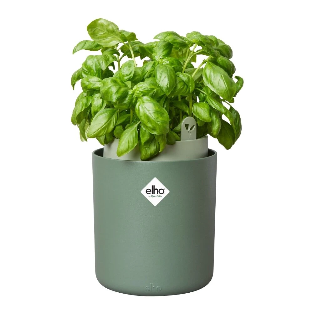 Elho Bouncy Basil Groen - Afbeelding 2