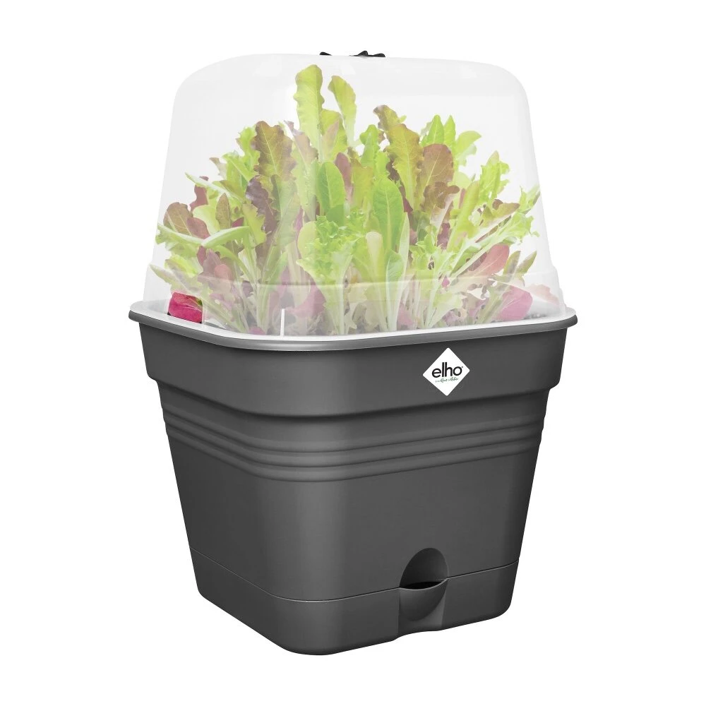 Elho Green Basics Kweekpot Vierk. Allin1 20 Cm Zwart - Afbeelding 3