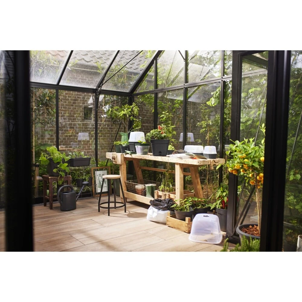 Elho Green Basics Kweektray Allin1 L Zwart - Afbeelding 7