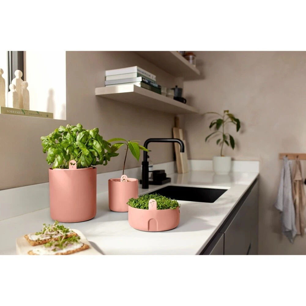 Elho Magic Microgreens Bruin - Afbeelding 8