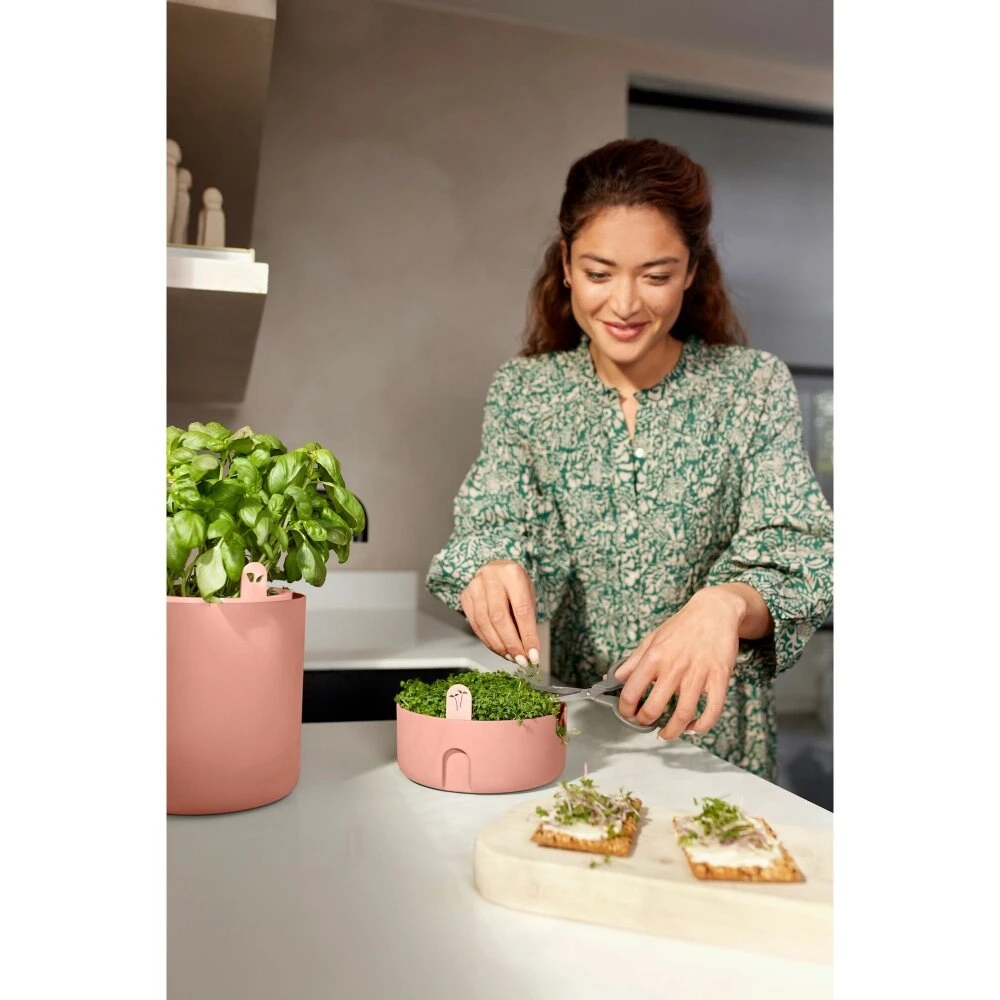 Elho Magic Microgreens Bruin - Afbeelding 9