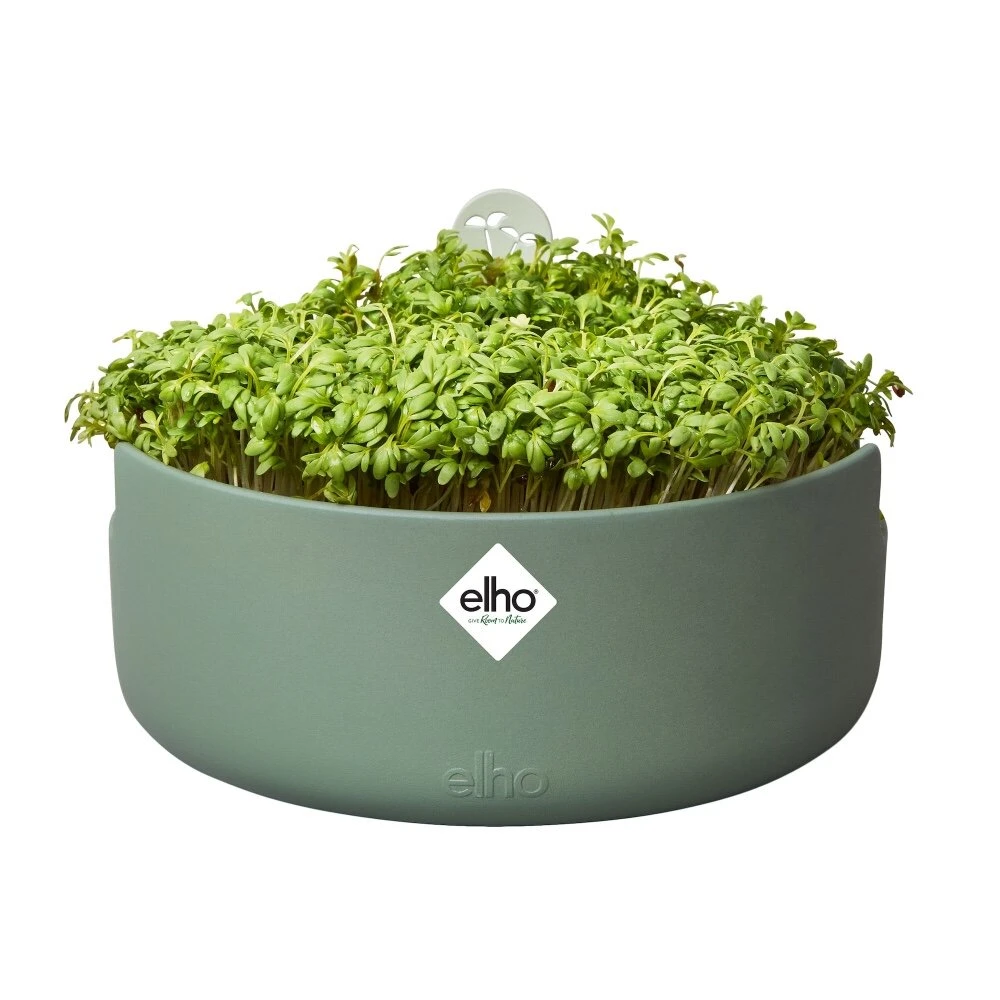 Elho Magic Microgreens Groen - Afbeelding 2
