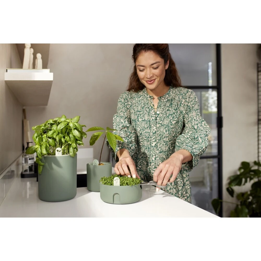 Elho Magic Microgreens Groen - Afbeelding 7