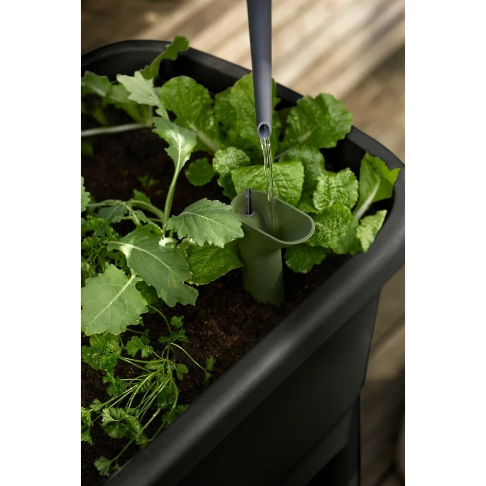 Elho Noa Kweektafel Zwart - Afbeelding 5