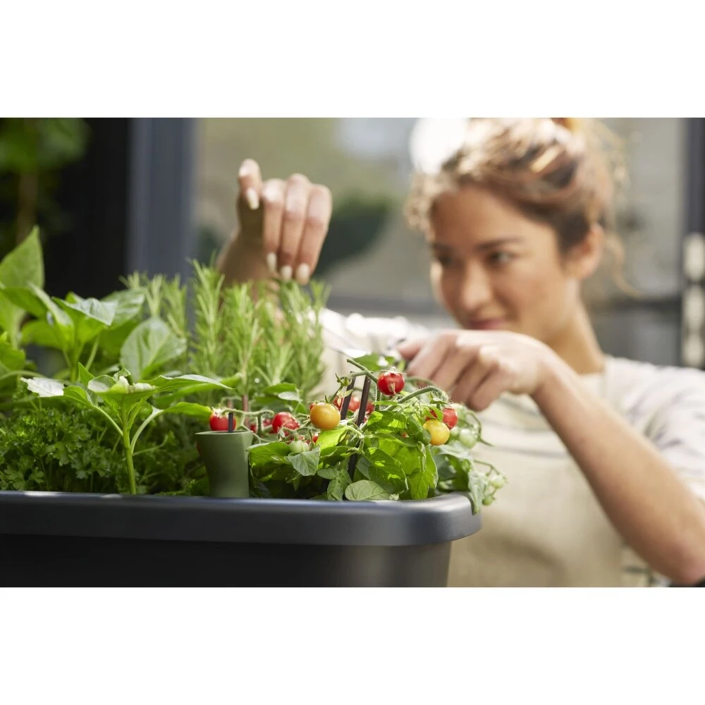 Elho Noa Kweektafel Zwart - Afbeelding 7