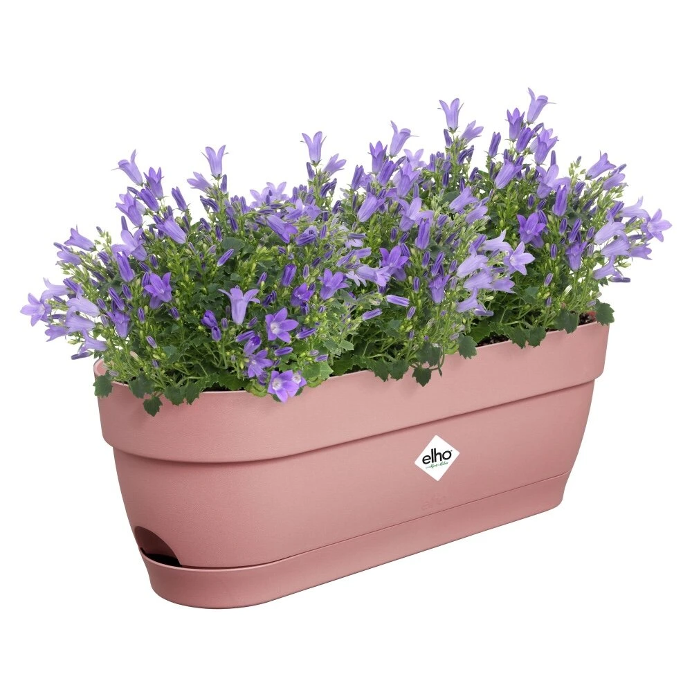 Elho Vibia Campana Balkonbak 50 Cm Roze