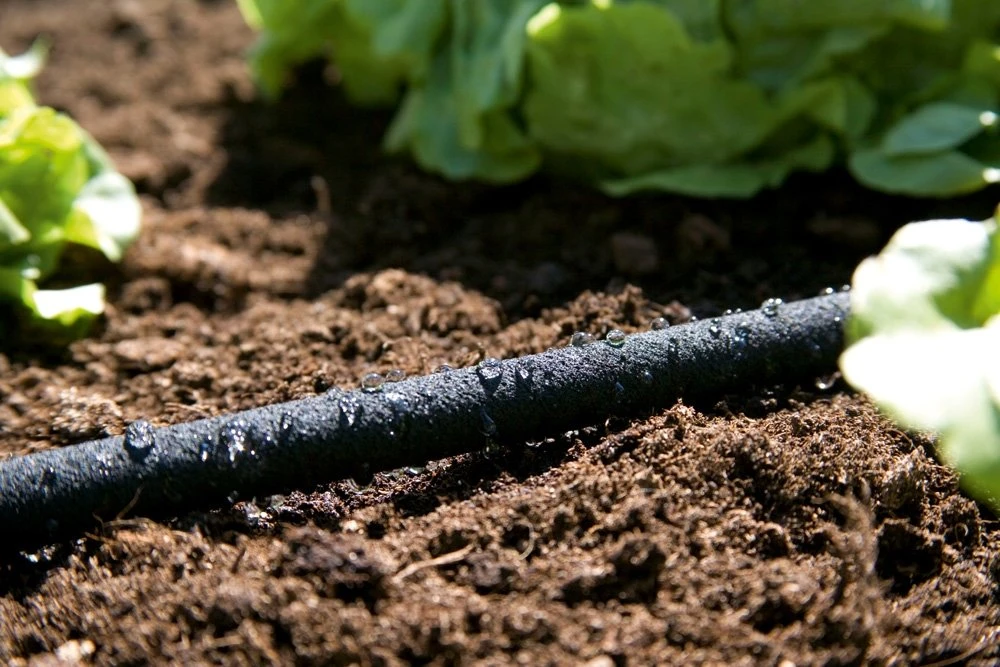 GARDENA Duizenddruppelslang 15m - Afbeelding 2