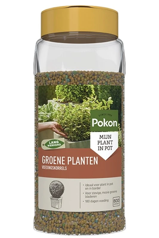 Pokon Groene Planten Voedingskorrels 800g